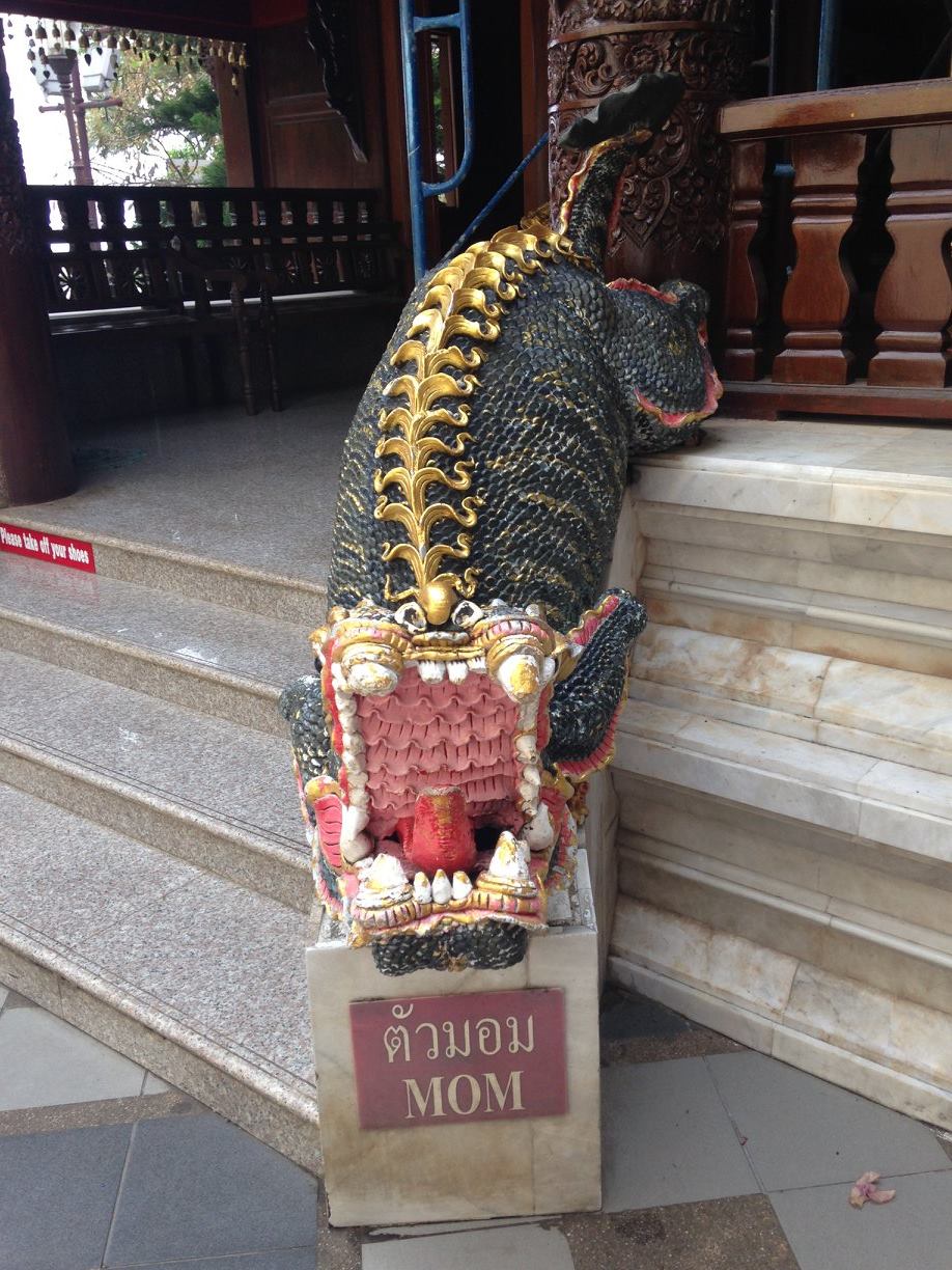 Mom dragon